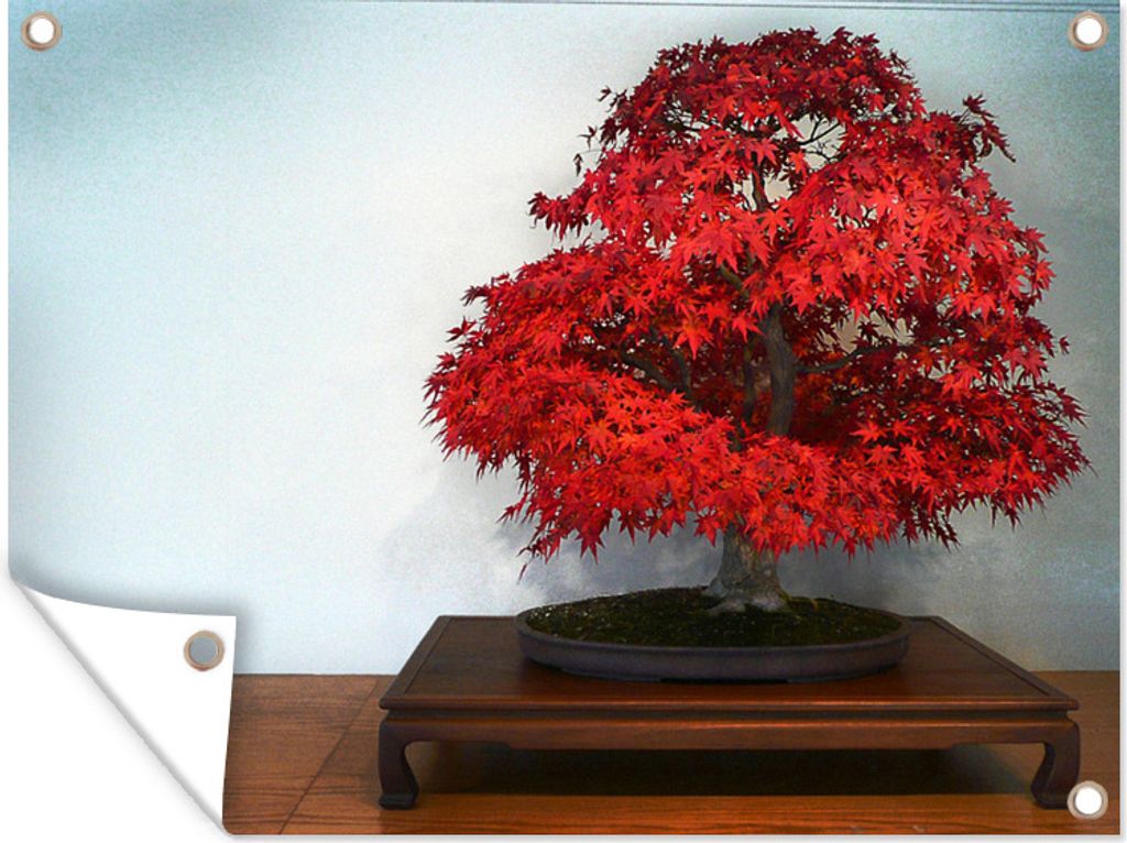 MuchoWow 120x90 cm Outdoor-Poster Gartendeko Sichtschutz Garten Poster für den Garten Herbst-Bonsai
