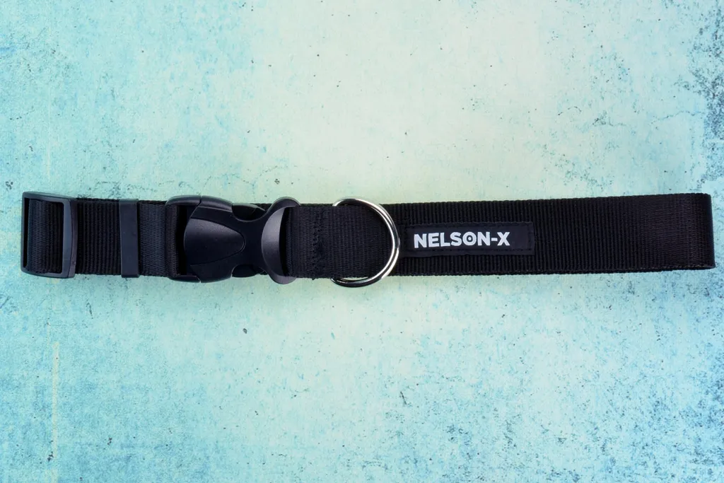 Nelson-X Basic 40-60cm Collare per Cani 4cm Plastica Classica - 9