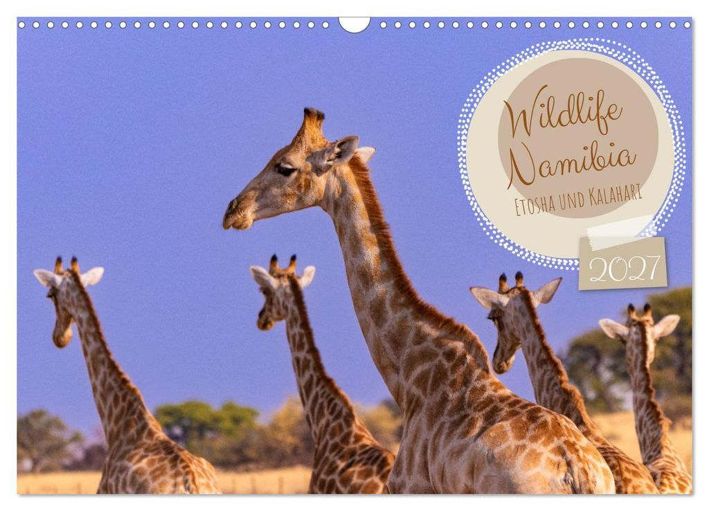 Wildlife Namibia - Etosha und Kalahari (Wandkalender 2027 DIN A3 quer), CALVENDO Monatskalender