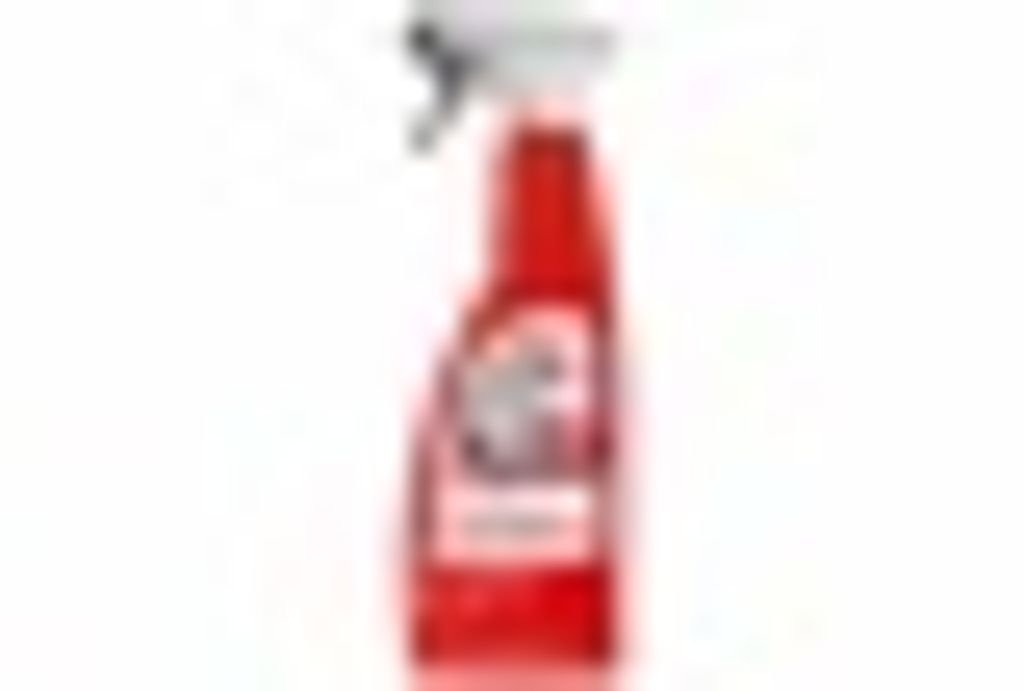 Sonax Flugrostentferner 750ml