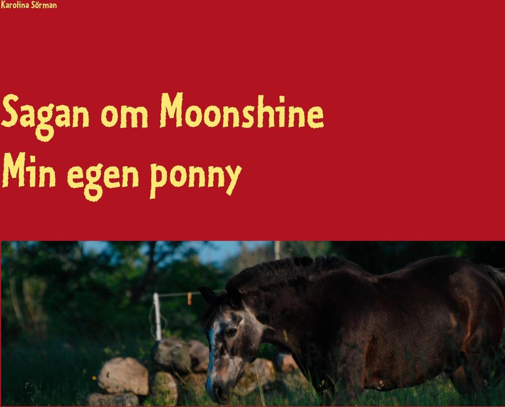 Sagan om Moonshine