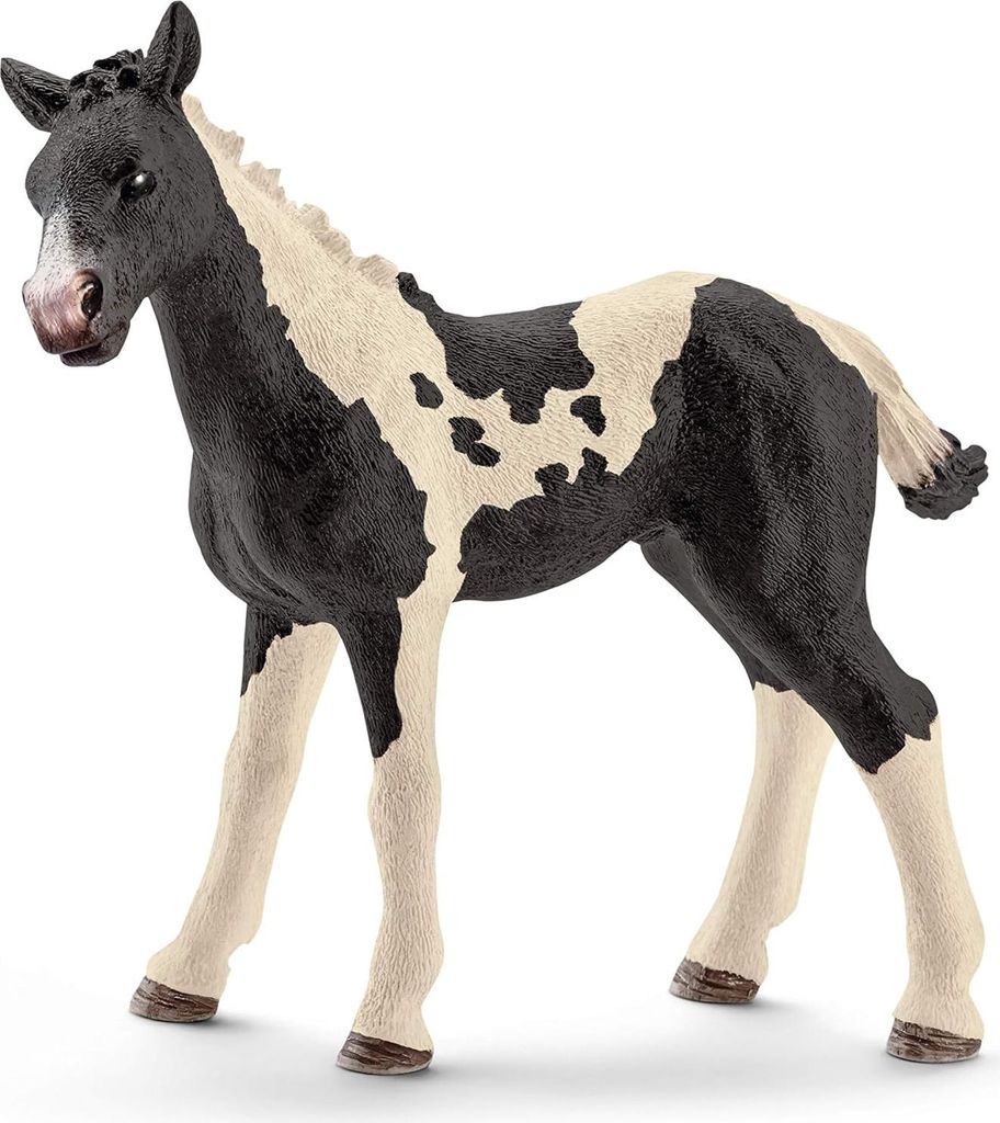 schleich 13803 Pinto Fohlen Produktbild 