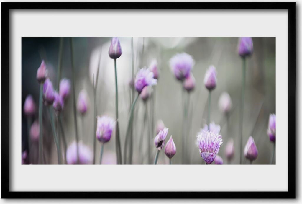 Bild 60x40 MDF-Rahmen Wandkunst Blumen Wildblumen Wiese Produktbild 