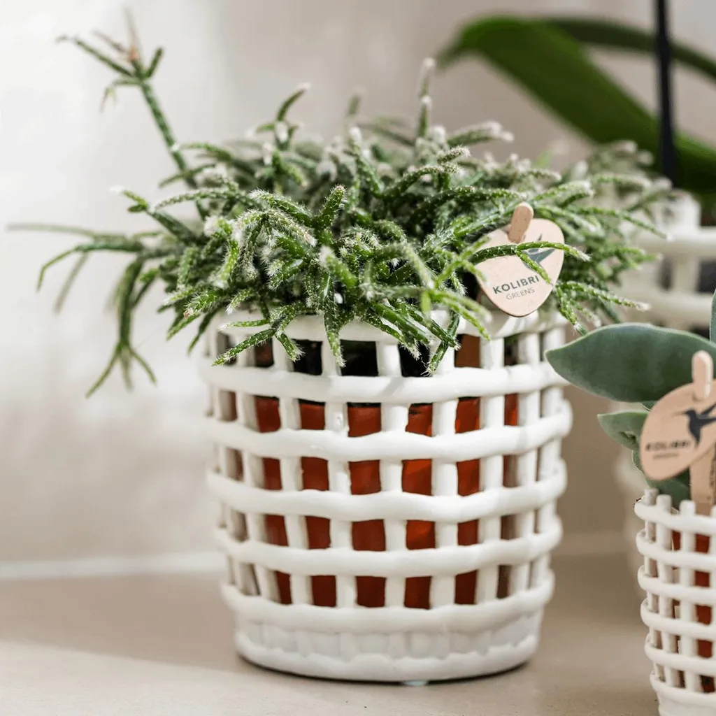 Cache-pot design structuré Ø9cm en relief pour une décoration moderne - 2