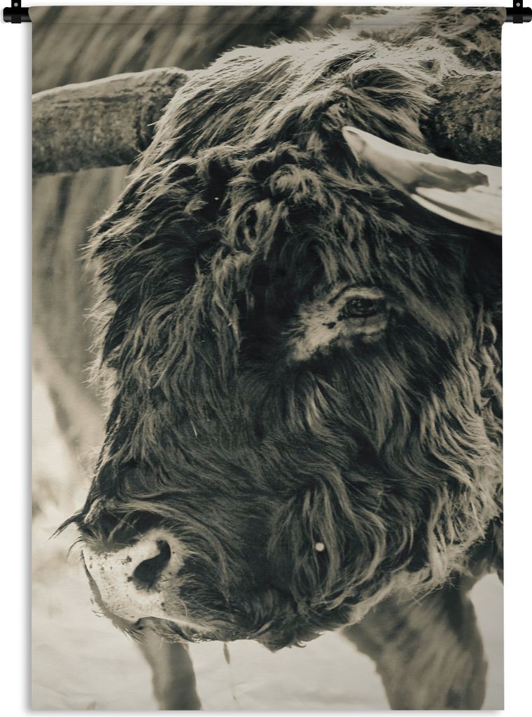 MuchoWow Wandteppich Wandbehang Schottischer Highlander - Schnee - Hörner 60x90 cm Tapisserie Dekoration Wandtuch - Foto-Teppich - Abwaschbar