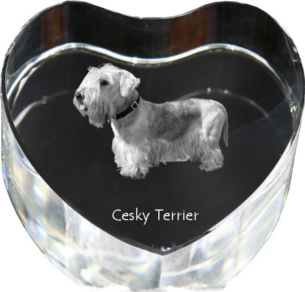 Decorazione Design Terrier Ceco Cristallo Art-Dog - Cornice Foto Moderna