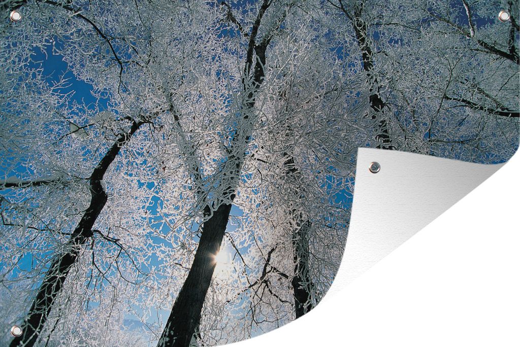 MuchoWow 60x40 cm Outdoor-Poster Gartendeko Sichtschutz Garten Poster für den Garten Von Frost bedeckte Bäume