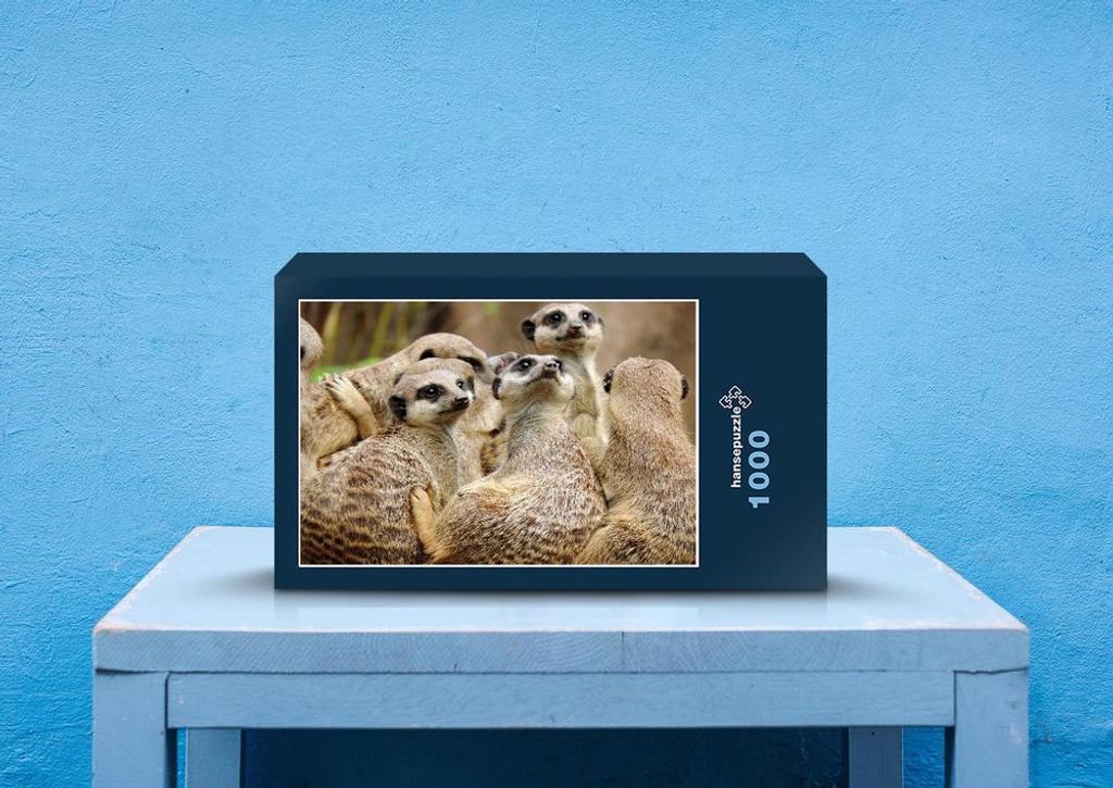 hansepuzzle 83512 - Erdmännchen Puzzle, 1000 Teile, Tierwelt, 60,0 x 46,0cm mit hochwertiger Aufbewahrung, Kartonbox & Beutel