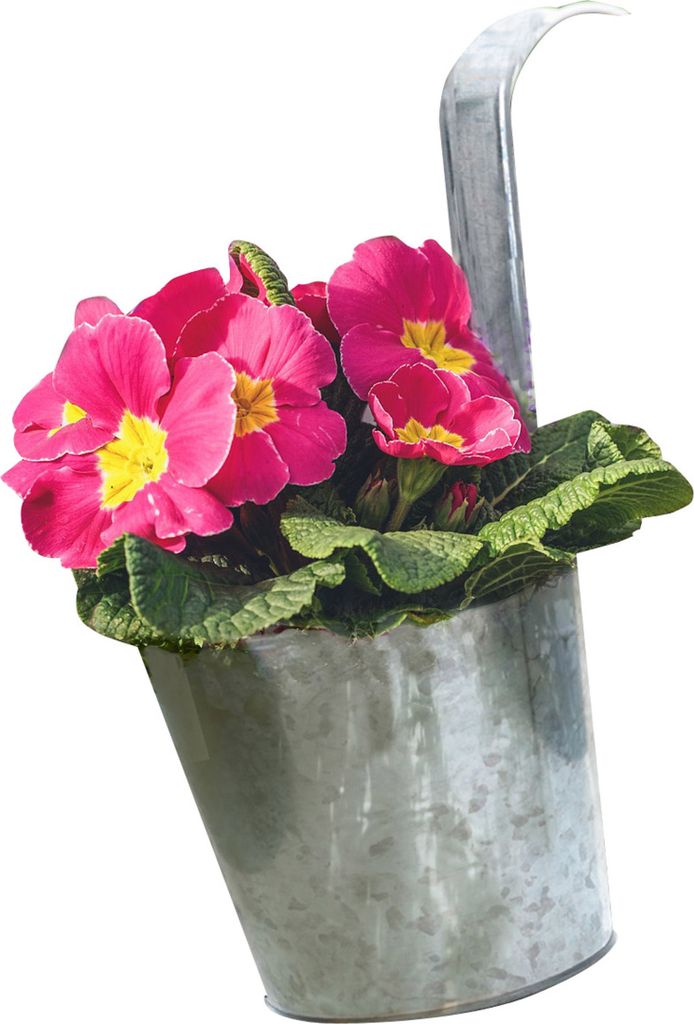Zinkový kvetináč na zavesenie Ø 13 cm - sada 6 kusov - Obrázok produktu 6
