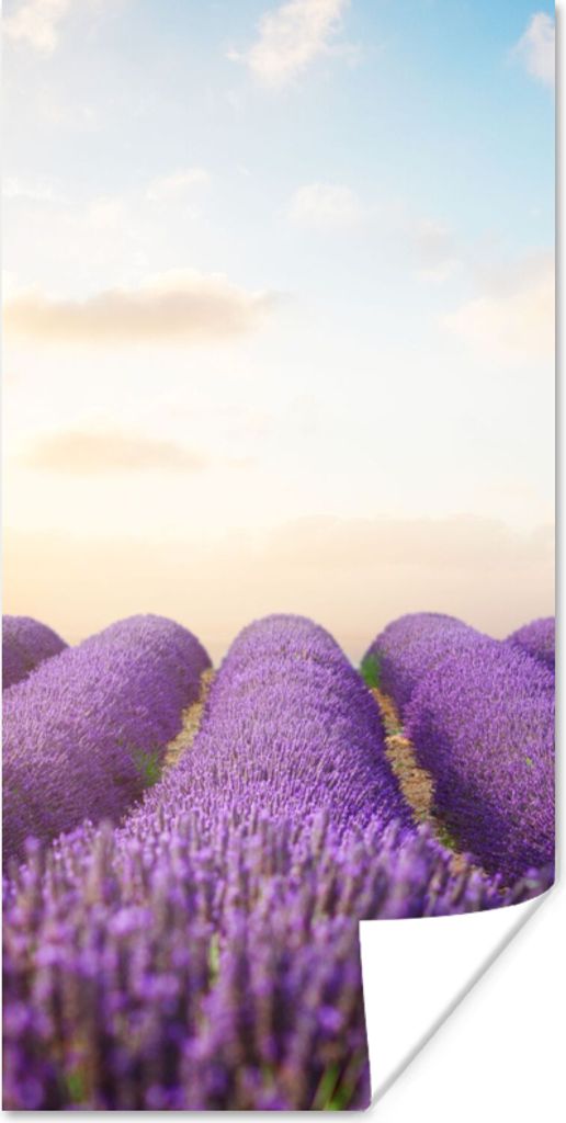 MuchoWow Poster Lavendel - Himmel - Wolken - Blumen 60x120 cm - Wandschmuck