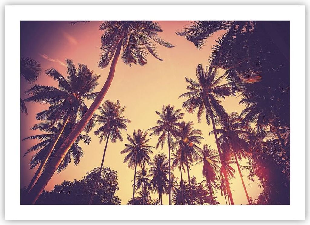 Poster - Poster ohne Rahmen - Palmen Himmel Sonne - 70x50 cm - Wand Bild - Wanddeko - Wandbilder - Kunstposter - Wandposter - Bilder - Kunstdruck -...