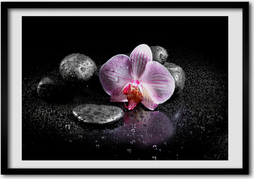Bild - Bilder - Bilderrahmen - 70 cm x 50 cm - MDF-Rahmen, Wandkunst Orchidee
