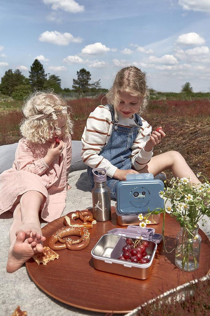 Kinderbrotdose aus Edelstahl - Lunchbox für Kindergarten und Schule - nachhaltig - Abenteuer Libelle lila - 1 Stück (1 Packung)