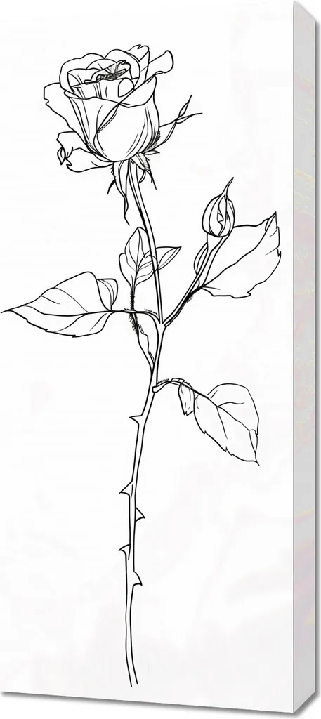Décoration de Chambre Image 40 x 90 cm Contour Rose - Ambiance Zen Rose