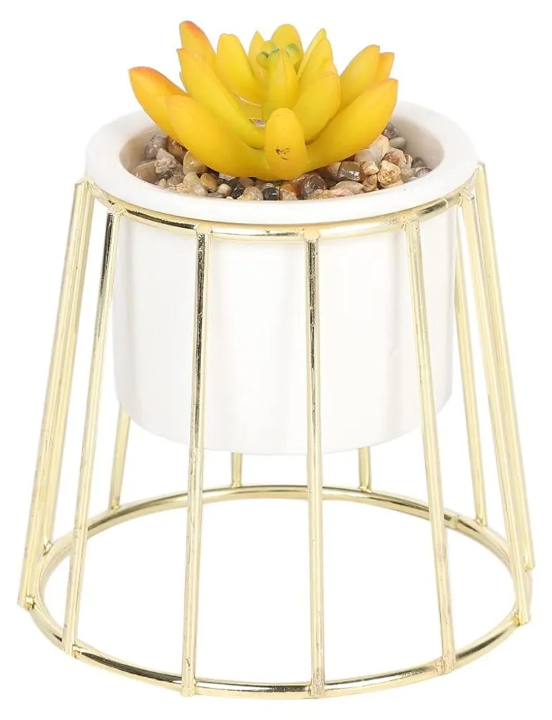 Succulente Artificielle Ocre Halo en Cage Dorée Design de 15x15x20cm