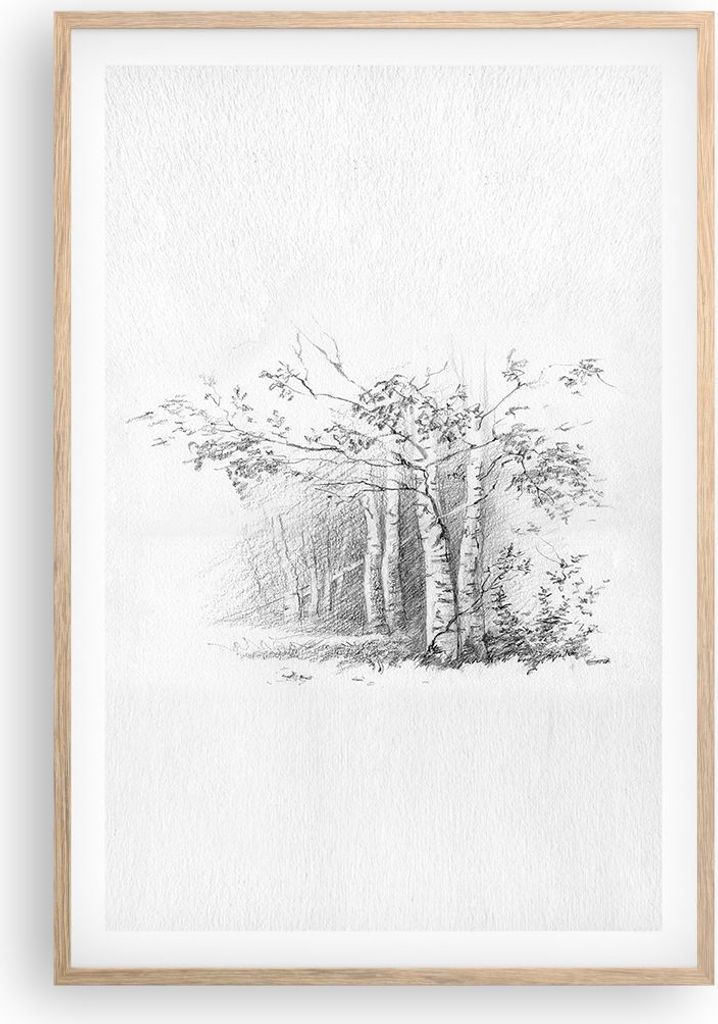 Gerahmtes Poster - Rahmen in heller Eiche - Skizze Wald Birke - 61x91,5 cm - Wand Bild - Wanddeko - Wandbilder - Wandposter - Bilderrahmen - Bilder...