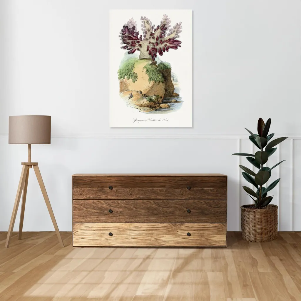 Quadro Corallo Spugnoso 60x90 Gervais Vintage per Soggiorno Classico - 2