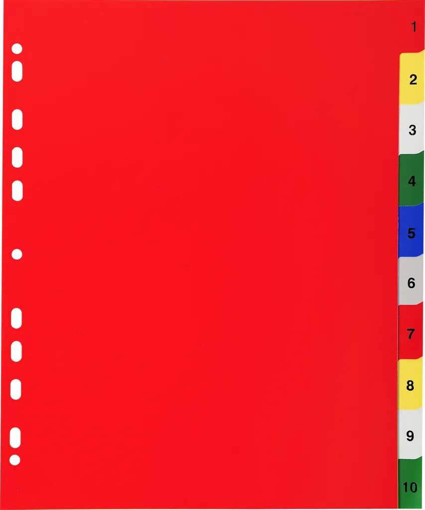 Organiser un Grand Classeur avec 10 Intercalaires A4+ Extra-Larges