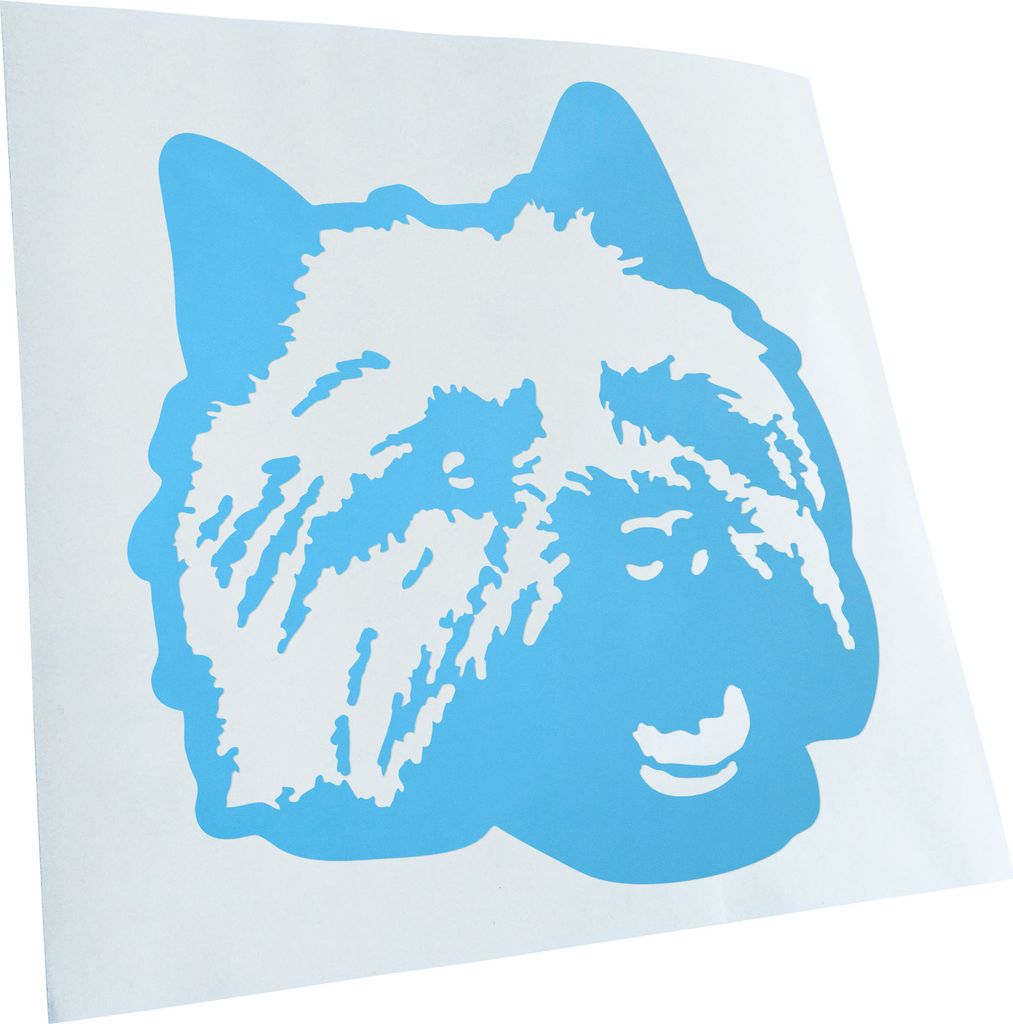 Kiwistar - Autoaufkleber - Norwich Terrier Hund - Lichtblau - 50x45cm - Aufkleber für Auto, Laptop, Fahrrad, LKW, Motorrad Mehrfarbig JDM Decal Ra...