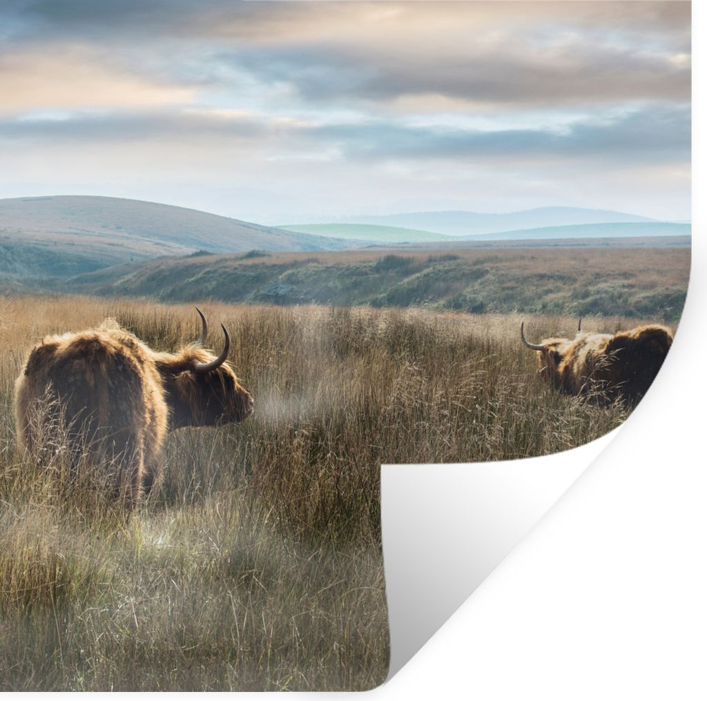 MuchoWow Wandtattoo Wandsticker Wandaufkleber Schottische Highlander - Nebel - Gras 50x50 cm Selbstklebend und Repositionierbar - Selbstklebend -...