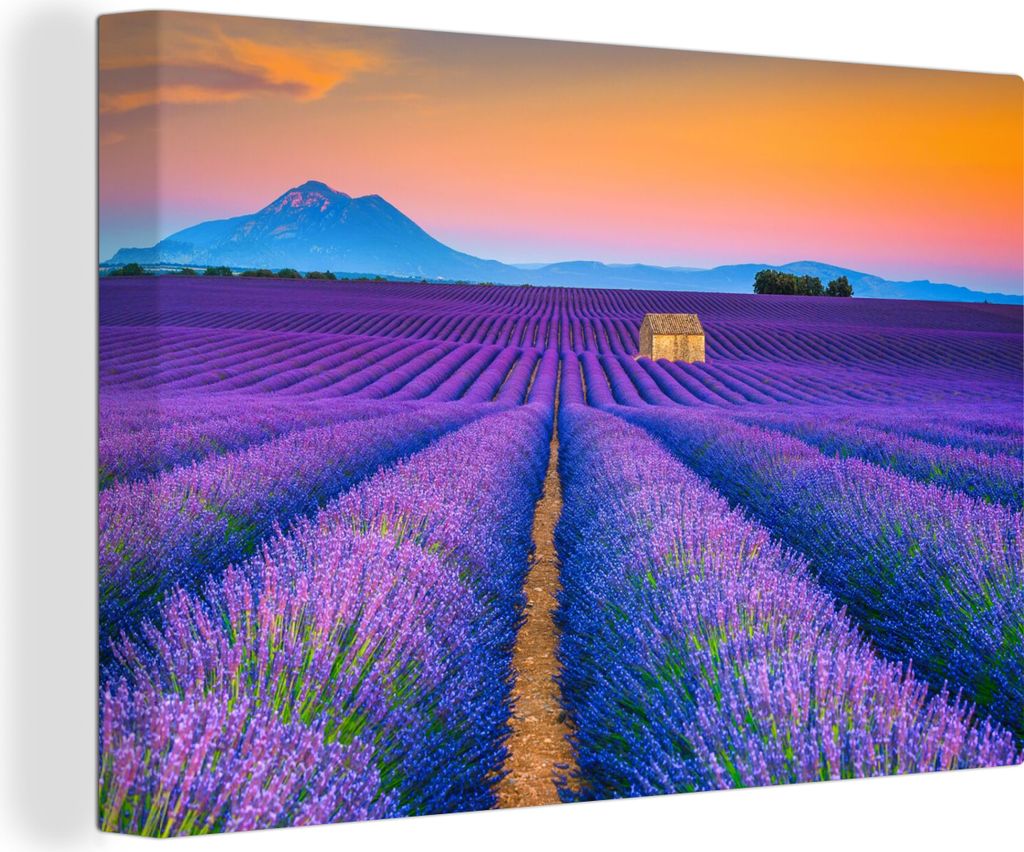 OneMillionCanvasses - Leinwandbilder - 140x90 cm, Lavendel - Lila - Blumen, Wandbilder Kunstdruck Wanddekoration - Foto auf Leinwand - Gemälde a...