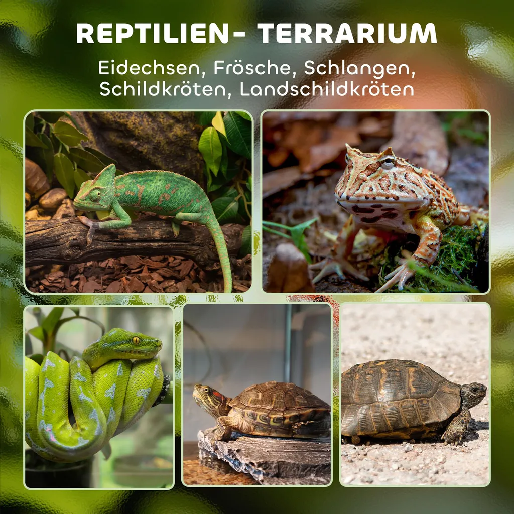 Terrarium pour reptiles 48L en verre noir avec ventilation optimale