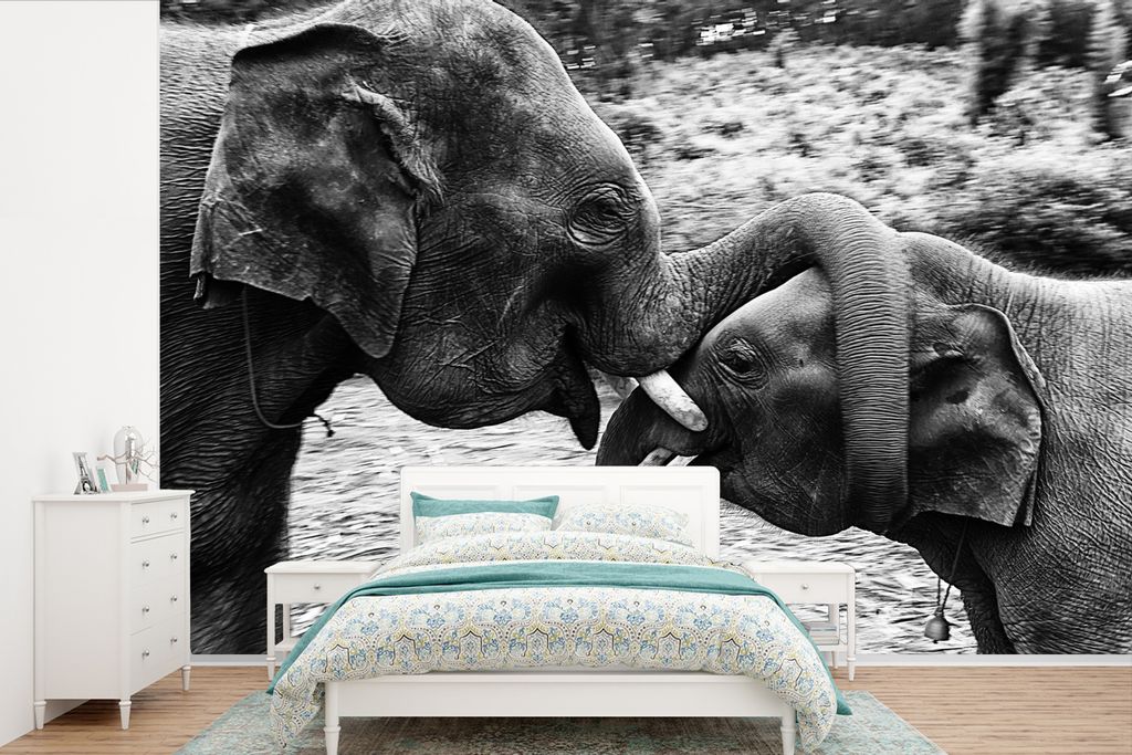 MuchoWow Fototapete für Wohnzimmer oder Schlafzimmer Wandtapete Vinyl Motivtapete Knuddelige Elefanten in Schwarz und Weiß - 450x300 cm - Gemus...