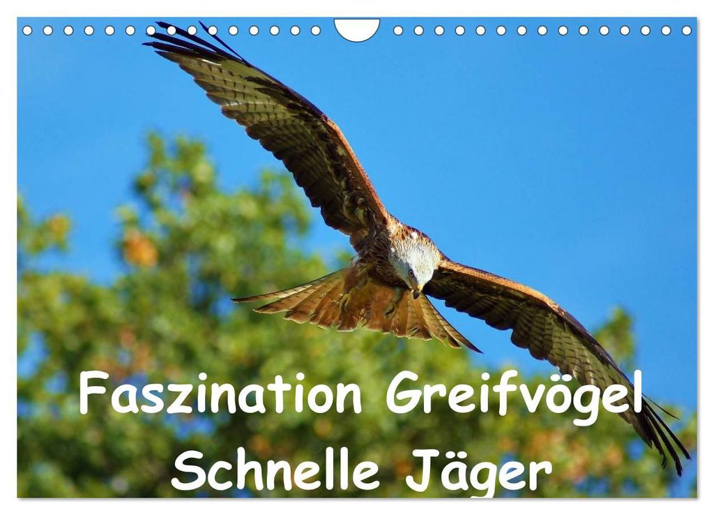 Faszination Greifvögel Schnelle Jäger (Wandkalender 2027 DIN A4 quer), CALVENDO Monatskalender