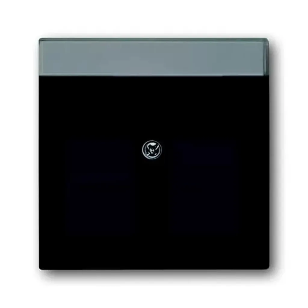 Plaque de recouvrement anthracite Mod.Jack 1800-81 Modular Jack 2Ö