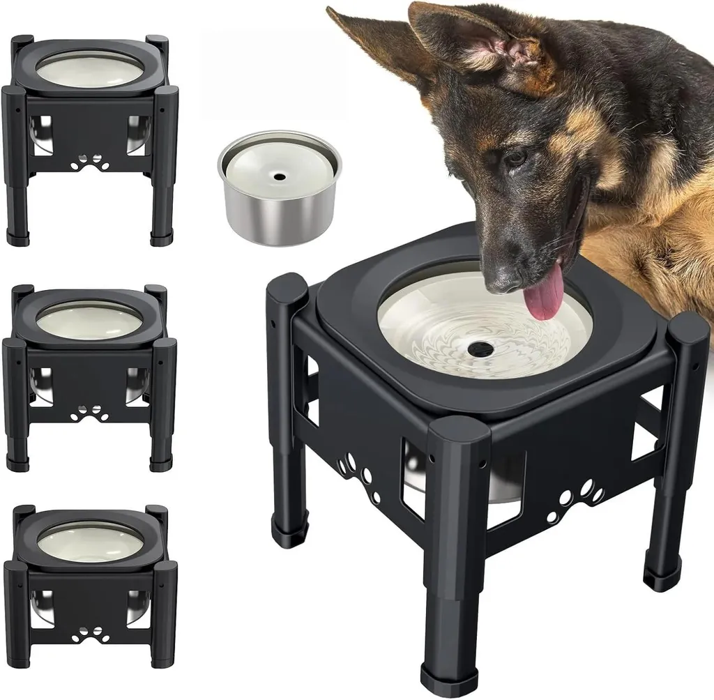 Station de breuvage pour chien 2L ajustable : finies les flaques au sol