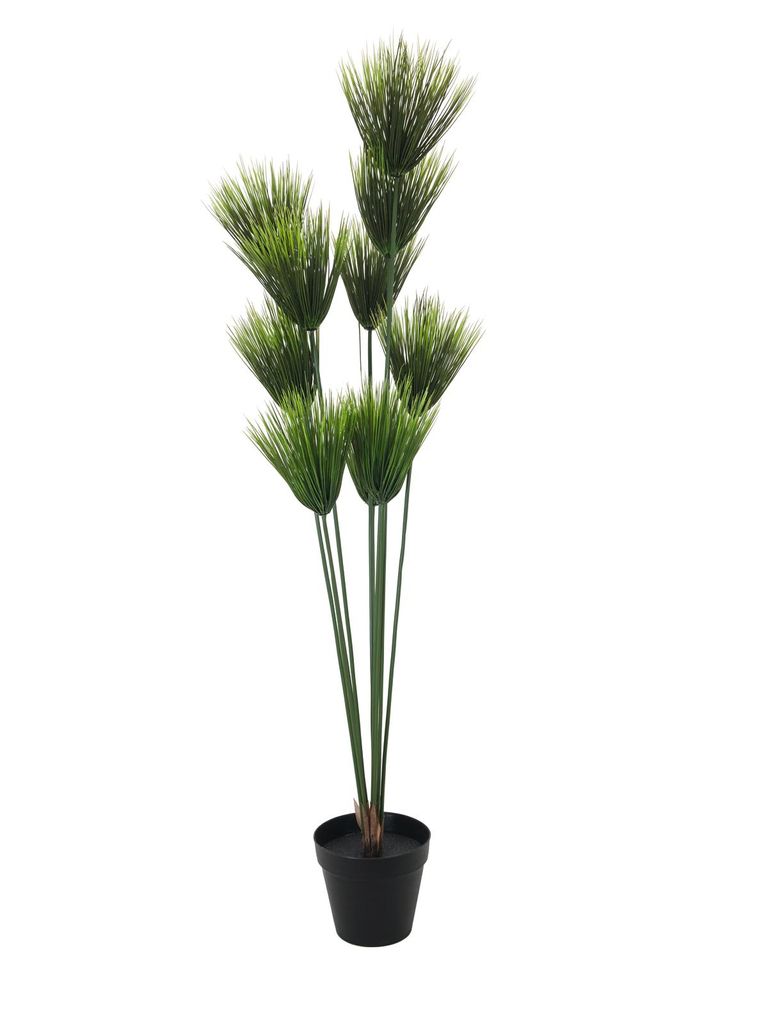 EUROPALMS Papyrus, künstlich, 150cm (82600223)