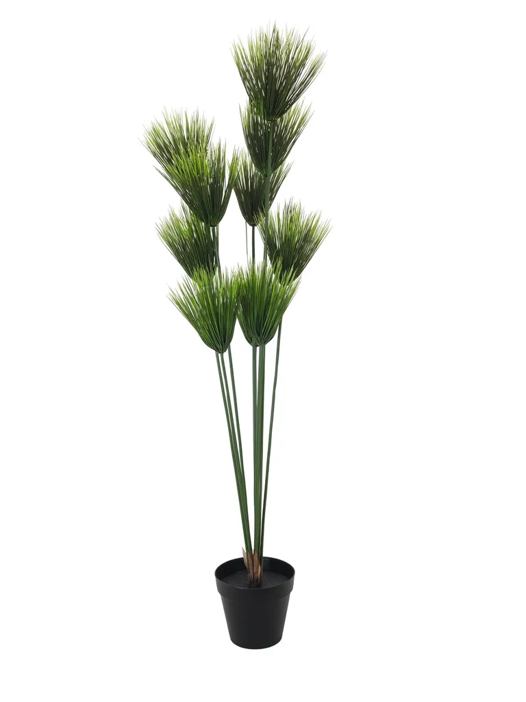 EUROPALMS Papyrus artificiel 150cm 82600223 pour décoration intérieure