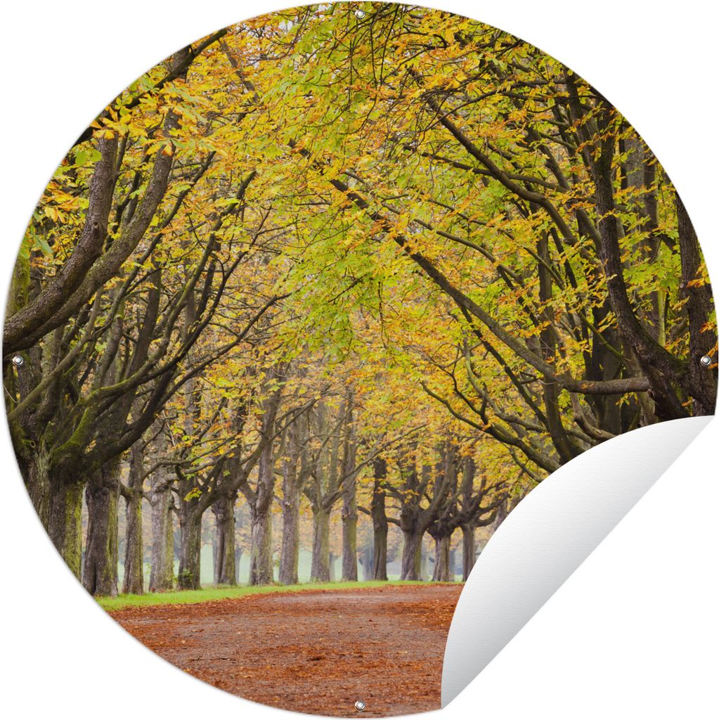 MuchoWow Gartenposter Outdoor-Poster Rund Kastanienbäume im Herbst Ø 150 cm Gartendeko Rundes Poster draußen