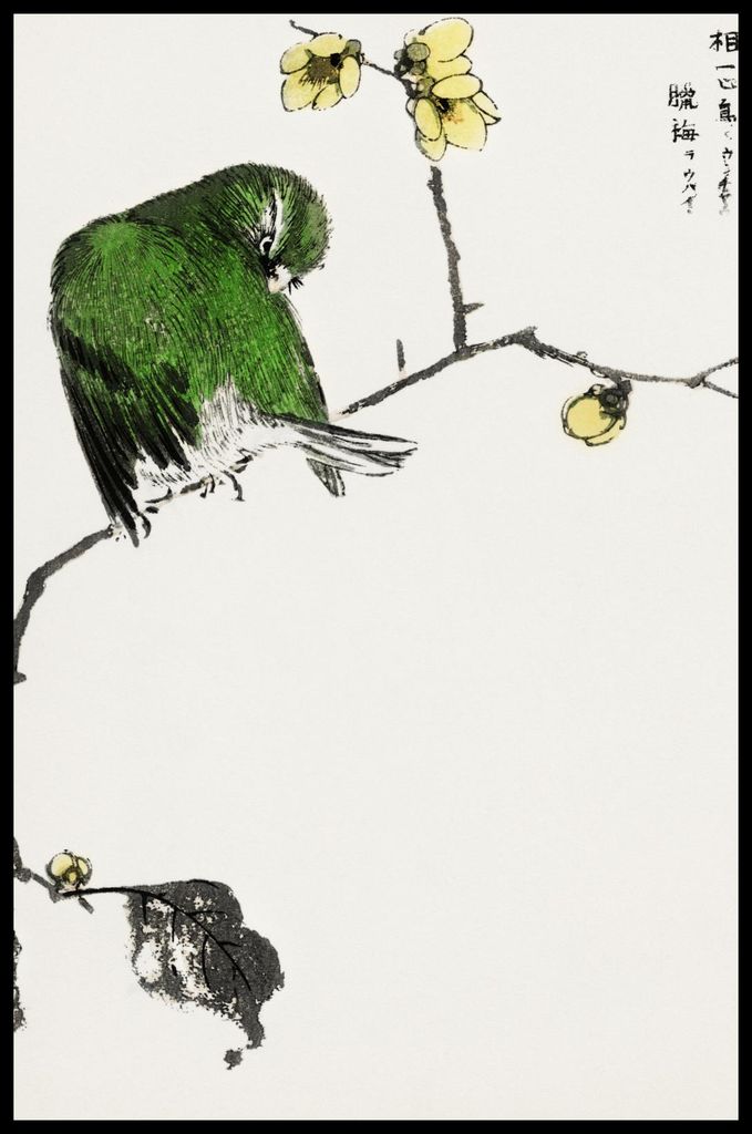 Plakat 56,6x86,4cm Fairy Pitta, Japanischer Kashu Vintage für das Wohnzimmer