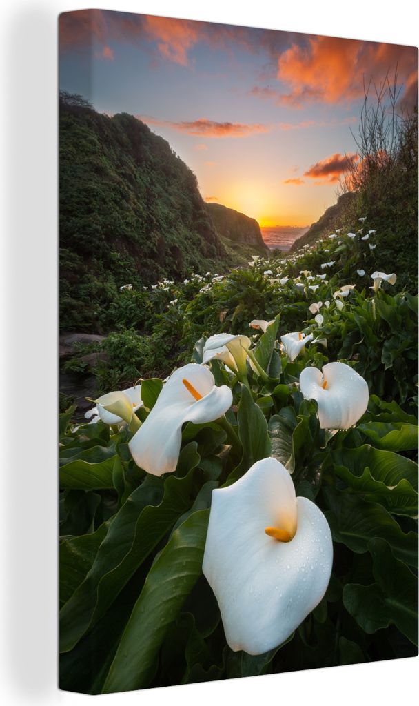 OneMillionCanvasses - Leinwandbilder - 90x140 cm, Sonnenuntergangshimmel über einem Calla-Feld, Wandbilder Kunstdruck Wanddekoration - Foto auf ...