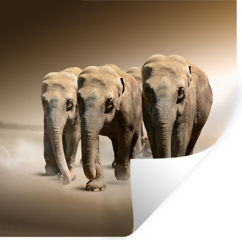 MuchoWow - Selbstklebend - Fototapeten