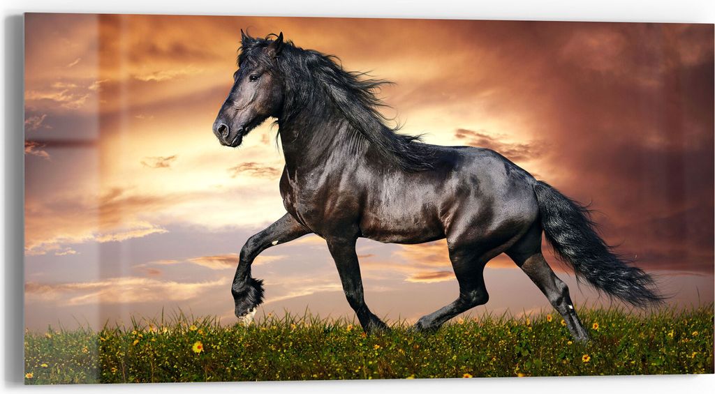 DEQORI Glasbild Echtglas 60x30 cm 'Schwarze Perle Frieslands' Wandbild Bild modern Deko