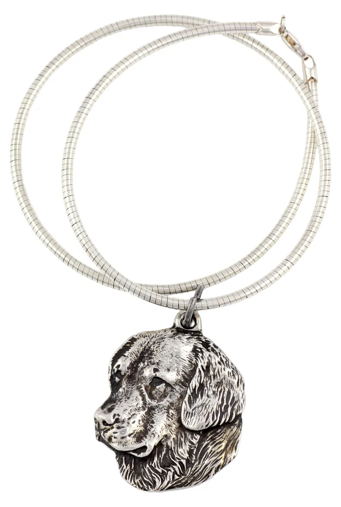 Cadeau Idéal Passionnés de Chiens : Collier Golden Retriever Art-Dog