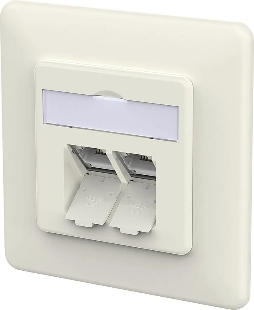Prise Réseau Murale RJ45 Cat 6A Double Port Encastrable Blanc Métal