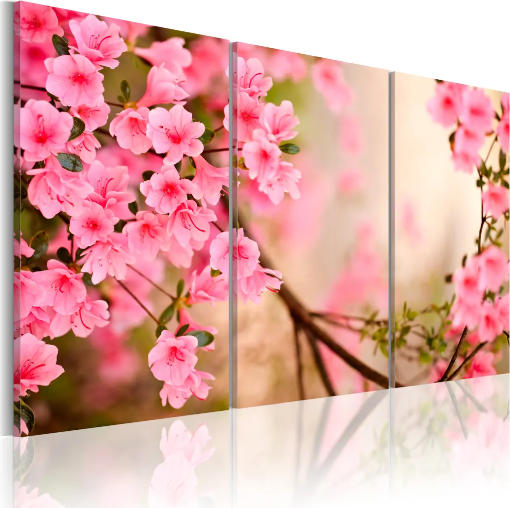 Quadro Moderno 3 Pezzi Fiori 120x80 - Stampa su Tela per Soggiorno