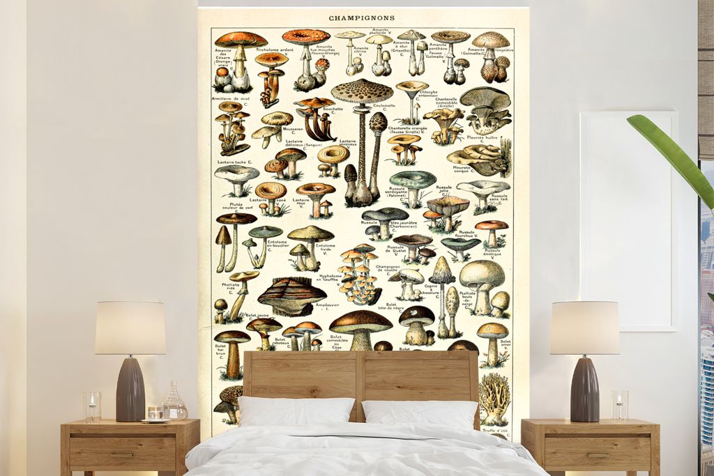 MuchoWow Fototapete für Wohnzimmer oder Schlafzimmer Wandtapete Vinyl Motivtapete Pilz - Herbst - Jahreszeiten - Vintage - Adolphe Millot - Natu...