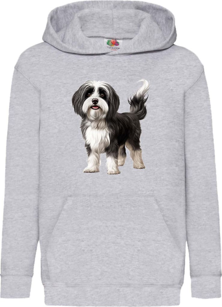 Kinder Kapuzenpullover Dogs Breeds Havanese Dog Breed 005, 7-8 Jahr - 128 / Grau