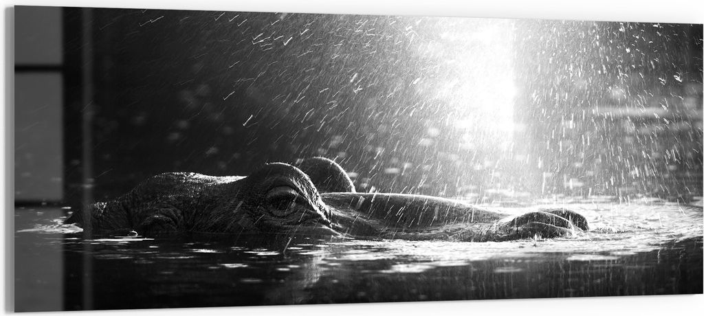 DEQORI Glasbild Acryl 125x50 cm 'Lichtspiel am Fluss' Wandbild Bild modern Deko