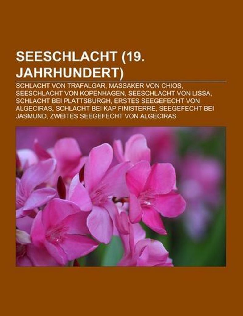 Seeschlacht (19. Jahrhundert)