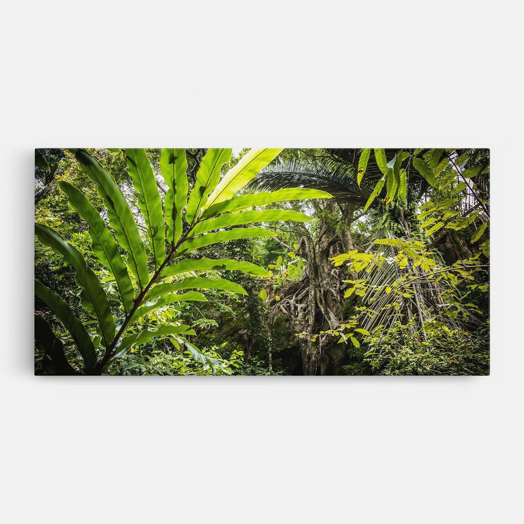 ARTHUB Leinwandbild 50x100 cm, Big Leaf Forest | Wohnzimmerdekoration, Hängende Bilder, Wanddekoration, Heimdekoration, Landschaften, Wälder