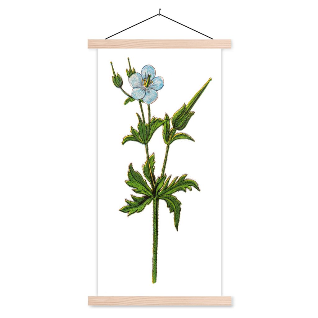 MuchoWow Textilposter Blume - Geranie - Vintage 40x80 cm mit holzfarbenen Rahmen - Wohnzimmer