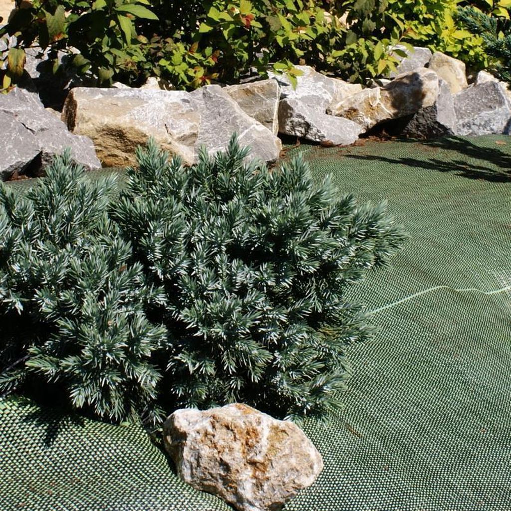 NOOR Unkrautblocker 0,9 x 10 m 105 g /m² Grün