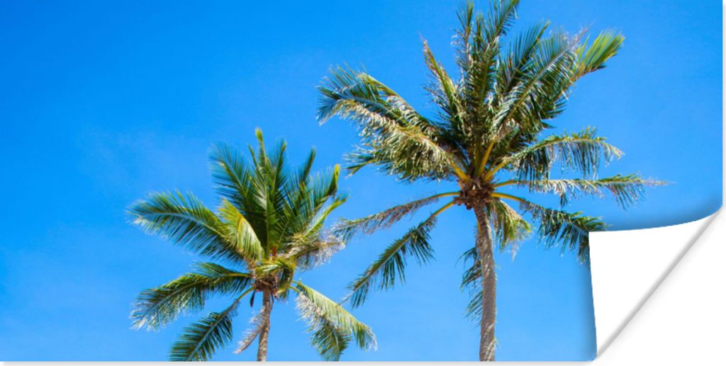 MuchoWow Poster Palme - Sommer - Tropisch 80x40 cm - Wanddeko