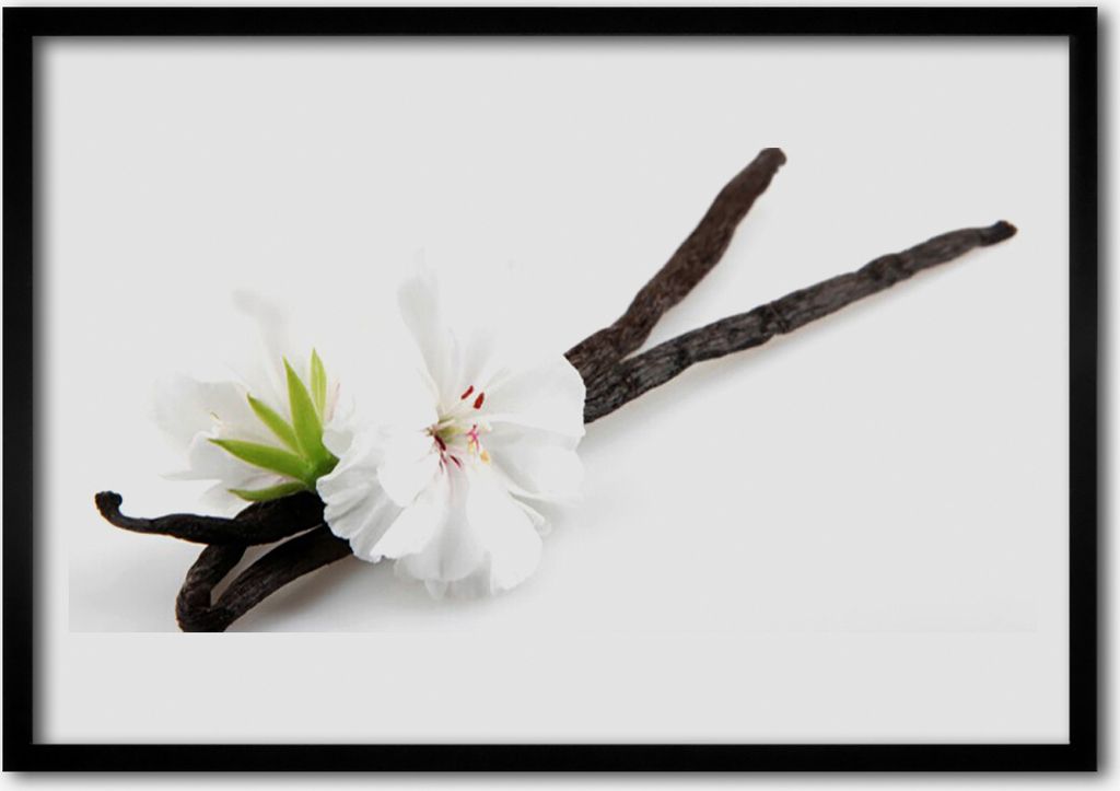 Bild 70x50 MDF-Rahmen Wandkunst Natur Blume Pflanze