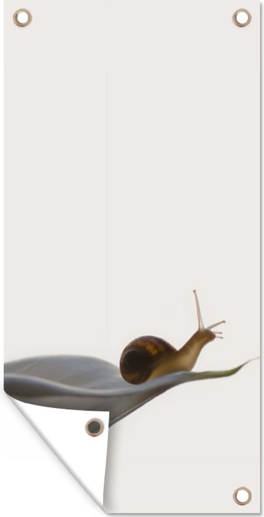 MuchoWow 40x80 cm Outdoor-Poster Gartendeko Sichtschutz Garten Poster für den Garten Schnecke - Lilie - Grau